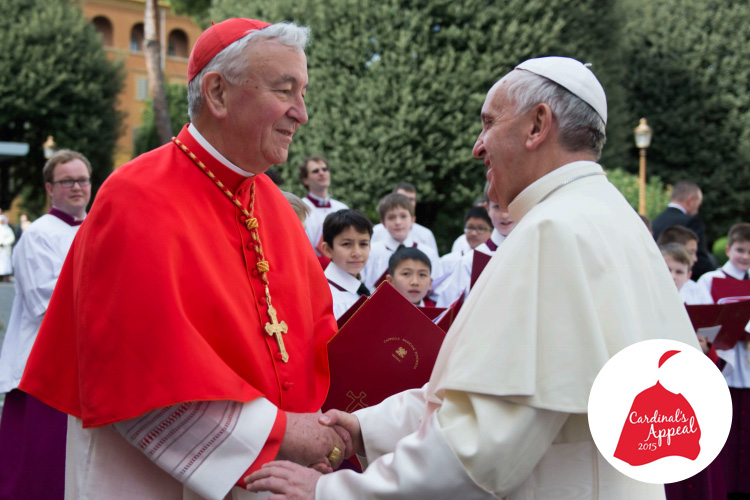 Cardinal Appeal 2015